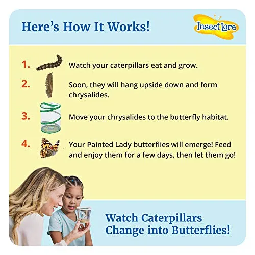 Butterfly Garden: Original Habitat and Live Cup of Caterpillars with STEM Butterfly Journal – Life Science & STEM Education – Butterfly Science Kit