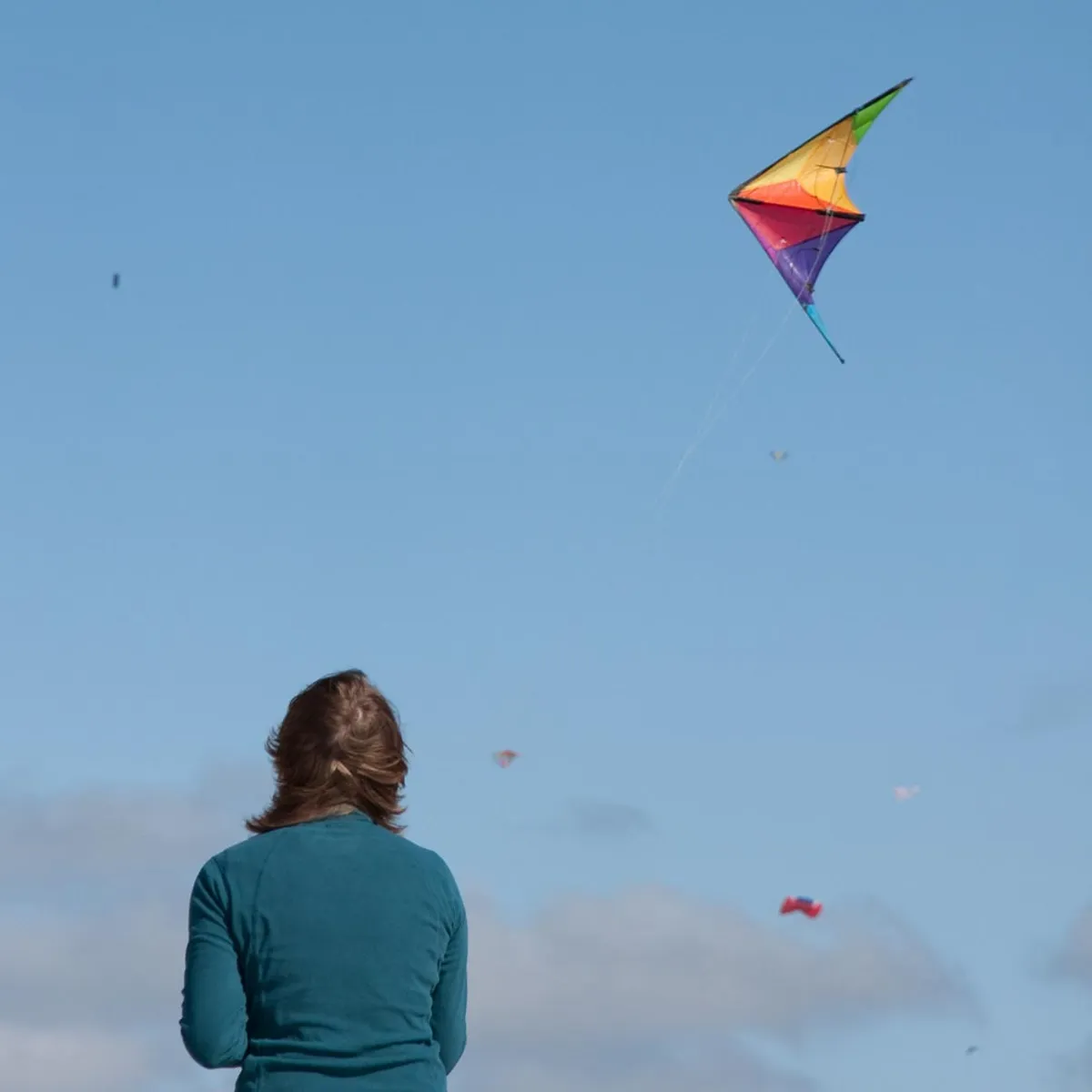 Calypso II Radical Sport Kite