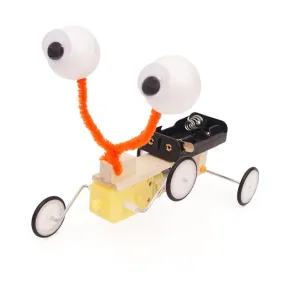DIY Robotic Reptile – Creative Learning with Movement