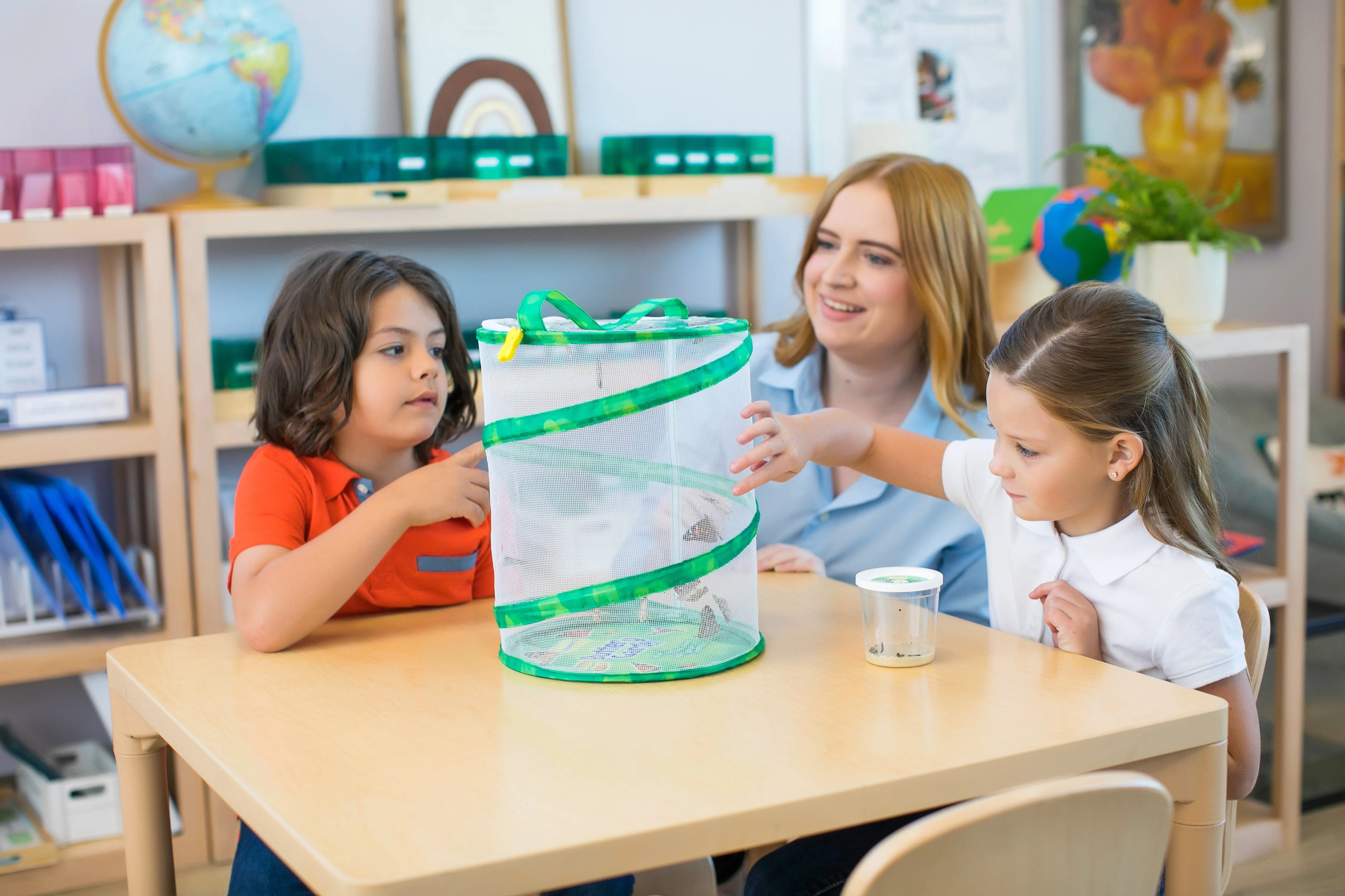 Insect Lore Butterfly Garden with Voucher