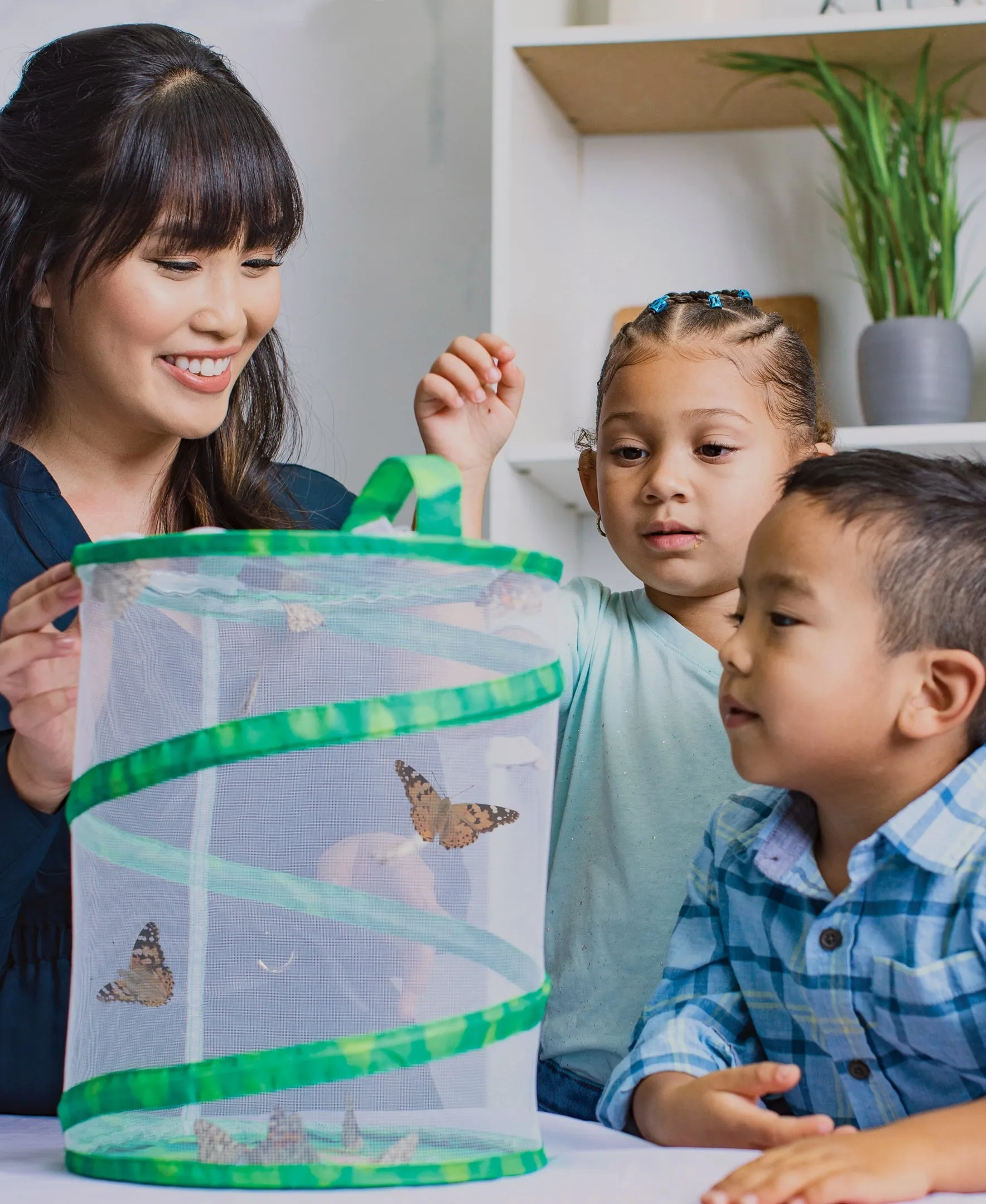 Insect Lore Butterfly Garden with Voucher