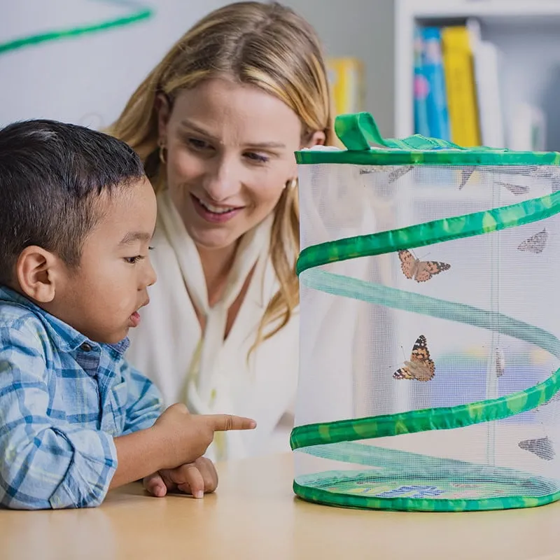 Insect Lore Butterfly Garden with Voucher