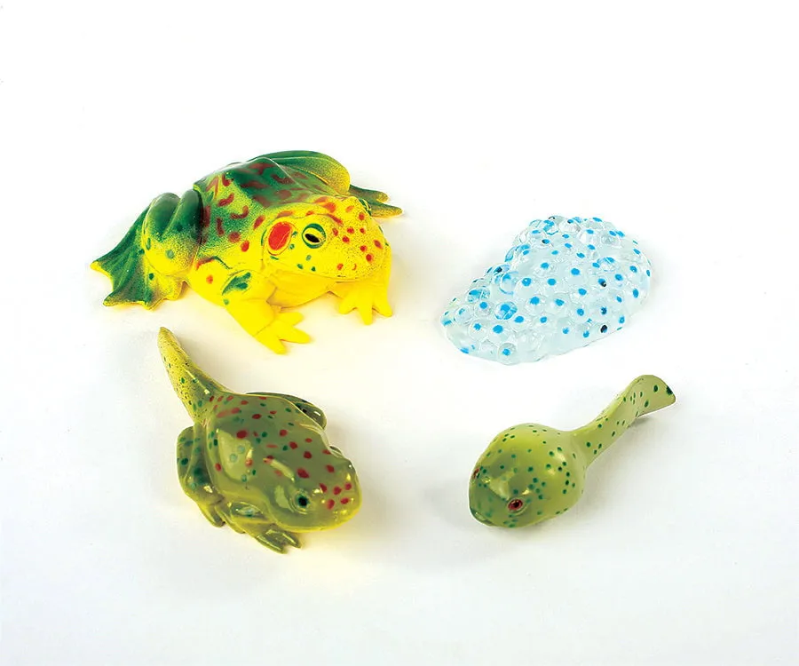 Insect Lore Frog Life Cycle Figurines 4 Piece Set