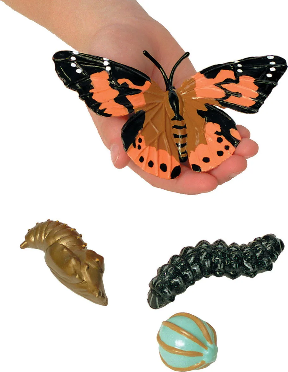 Insect Lore GIANT Butterfly Garden with Voucher