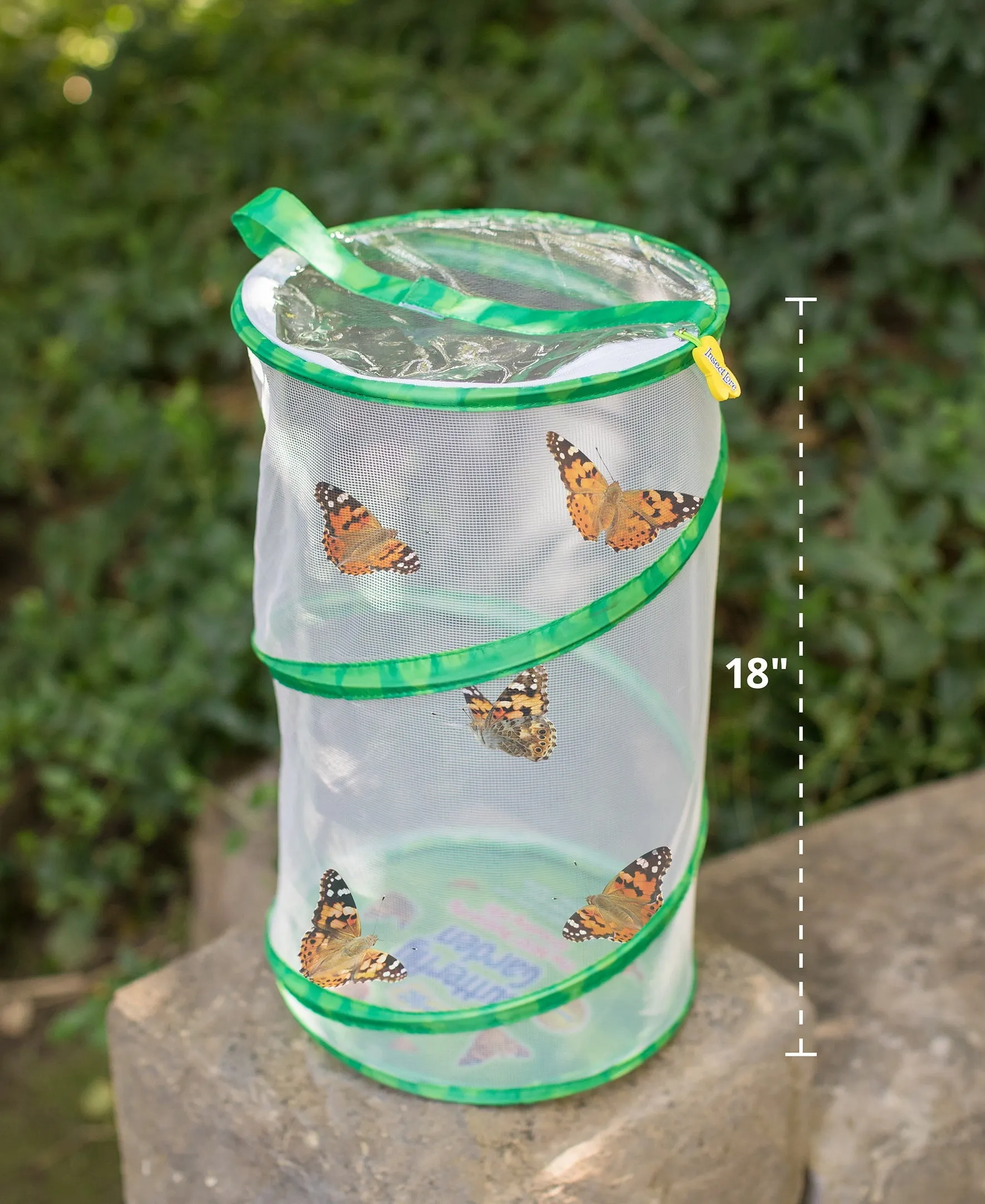 Insect Lore GIANT Butterfly Garden with Voucher