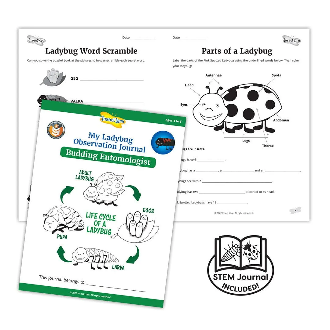 Insect Lore Ladybug Growing Kit with ONE Tube of Live Ladybug Larvae and STEM Journal