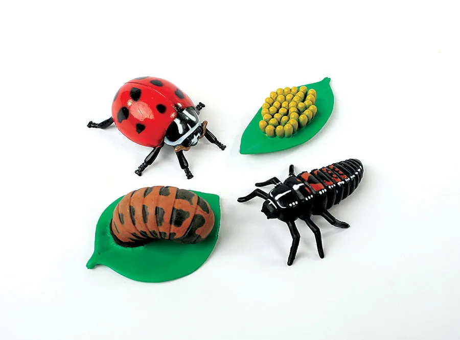 Insect Lore Ladybug Life Cycle Figurines 4 Piece Set