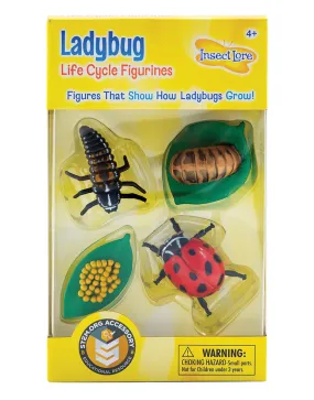 Insect Lore Ladybug Life Cycle Figurines 4 Piece Set