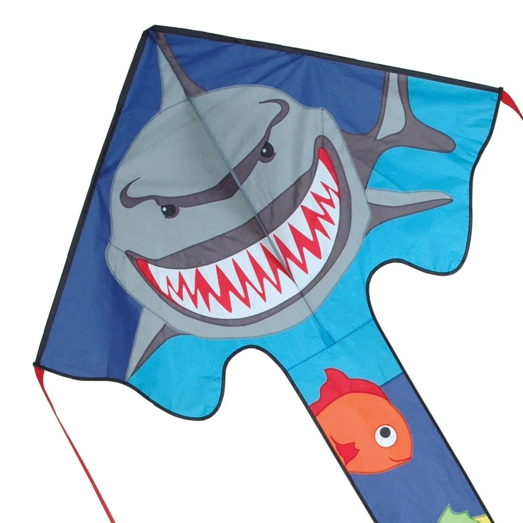Large Easy Flyer Kites