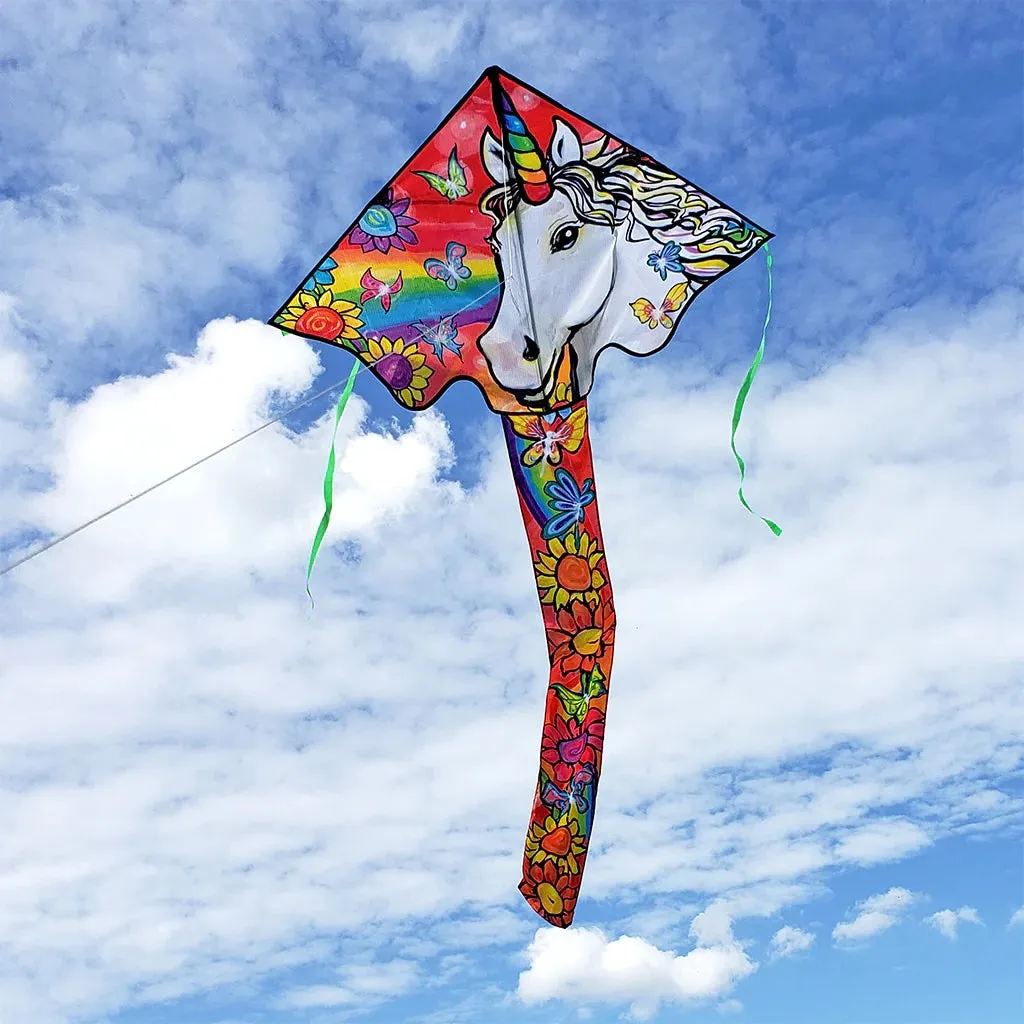 Large Easy Flyer Kites