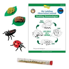 LIVE Ladybug Larvae Refill Kit with STEM Journal and Life Cycle Stages