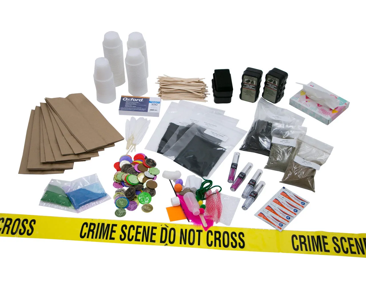 Missing Money Mystery Deluxe Summer Camp Kit