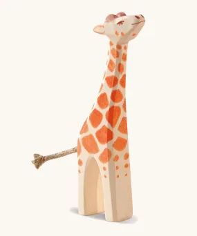 Ostheimer Small Giraffe, Head High