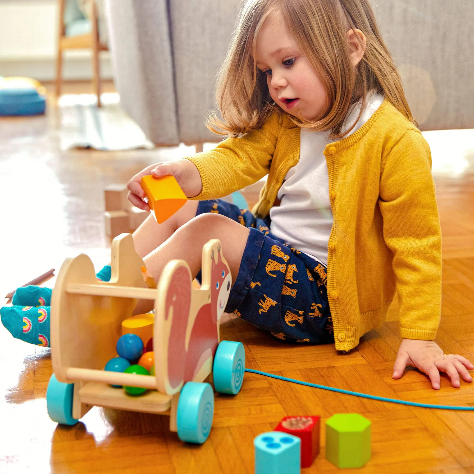 Squirrel Pull Along Toy Sorting Box