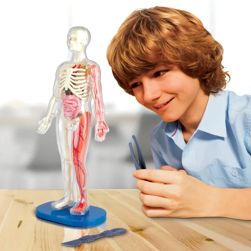 Squishy Human Body by Smart Lab