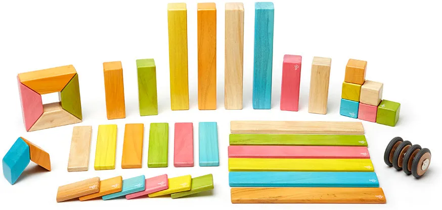 Tegu Tints 42 pc. Magnetic Wooden Blocks Set