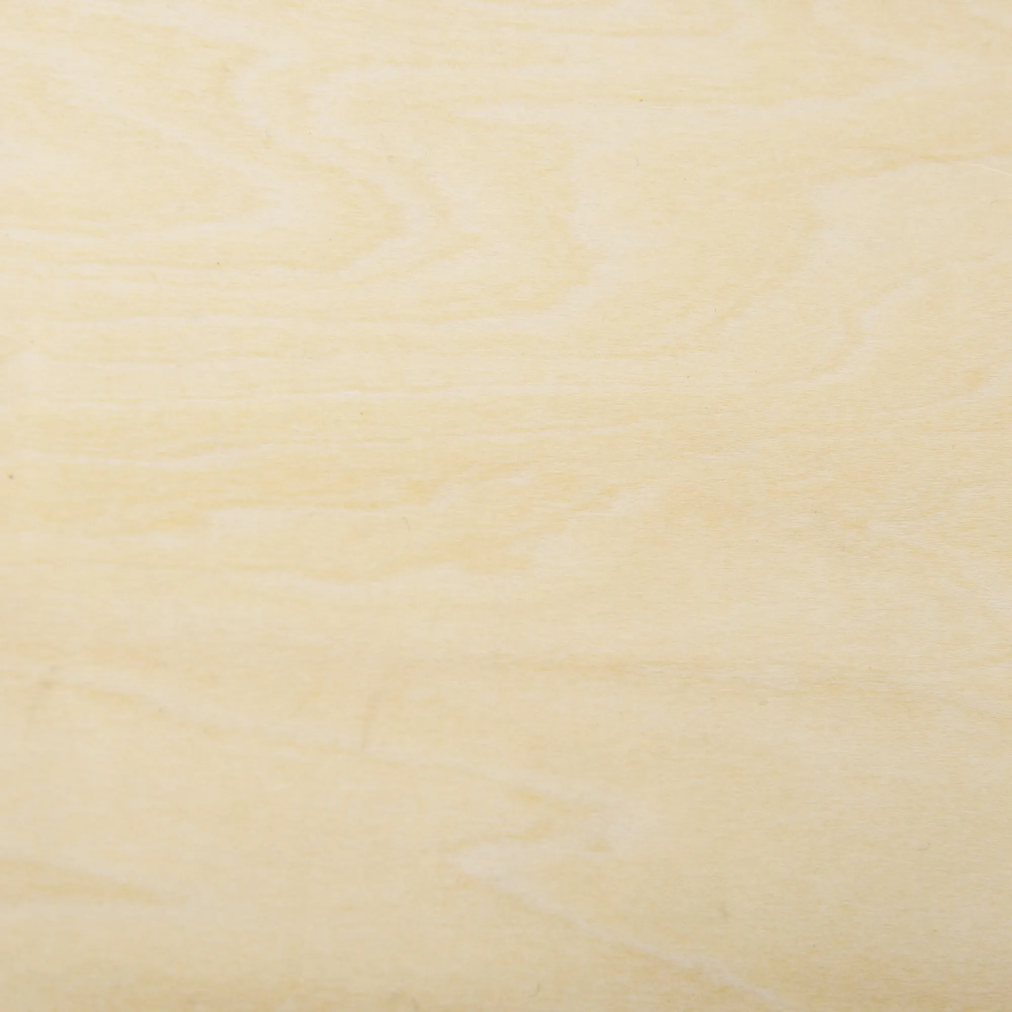 Wood Wobble Board with Ropes